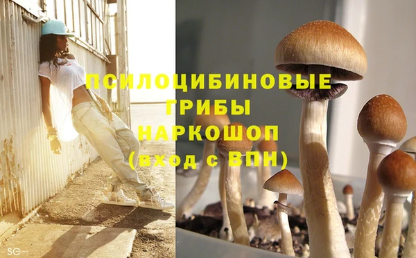 jwh Пестово