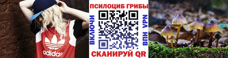 Галлюциногенные грибы Cubensis  сайты даркнета формула  Агрыз  KRAKEN ссылки 