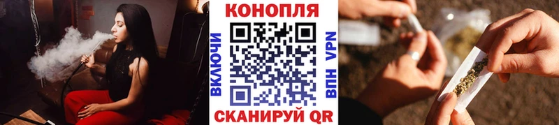 Шишки марихуана семена  Агрыз 